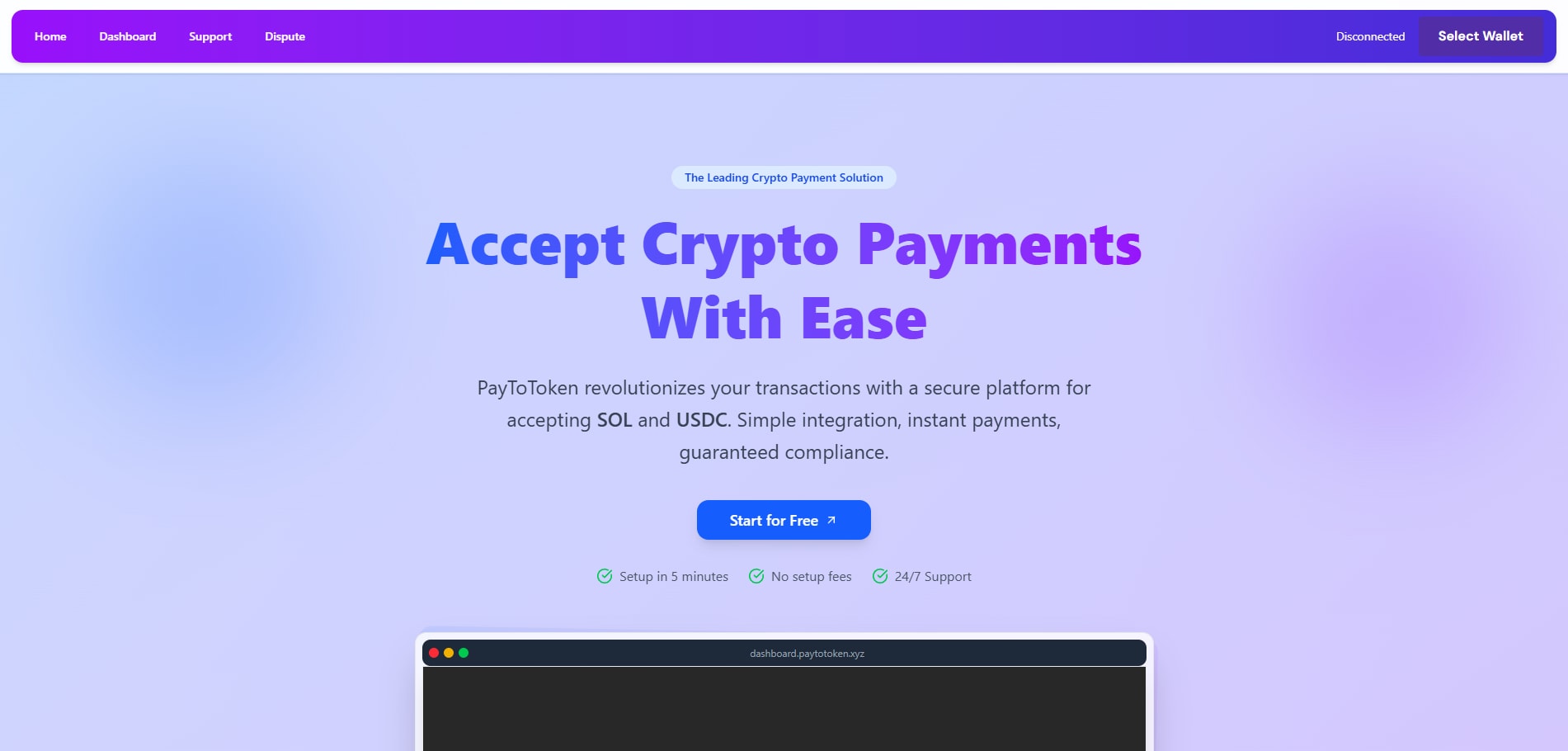 SaaS Payment